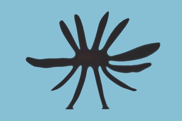 Kraken даркнет рынок