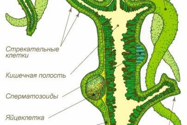 Ссылки на даркнет сайты