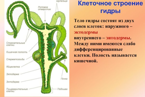 Кракен даркнет маркетплейс