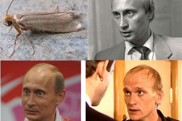 Ссылки на кракена и на мегу