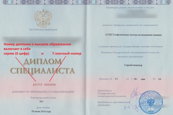 Gidra магазин