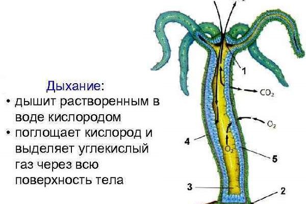 Kraken зеркала маркетплейс
