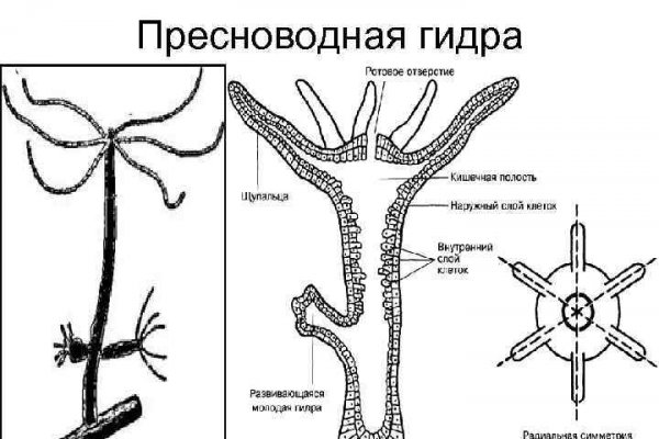 Кракен зеркало 2