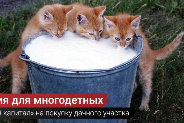 Кракен маркетплейс зеркало krk market com