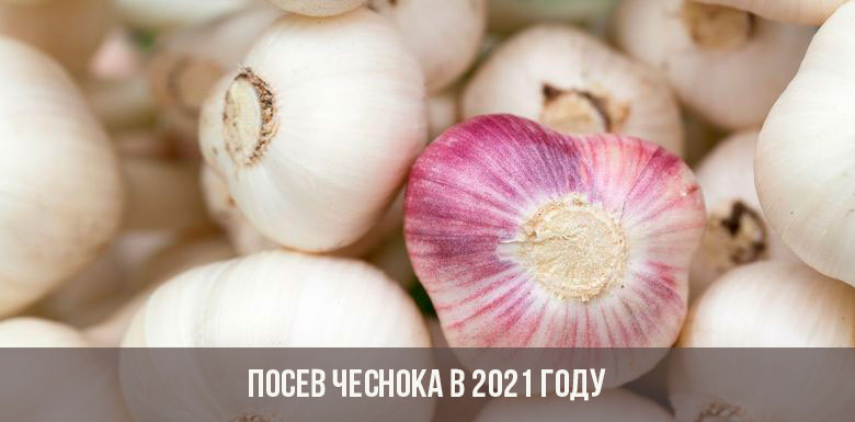 Ссылки кракен телеграф